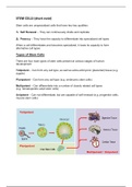 STEM CELLS- BioTechnology