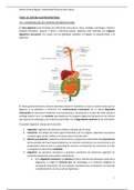 Tema 18. El aparato gastrointestinal 