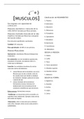 musculos fisiologia