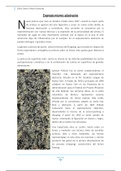 Expresionismo abstracto.pdf