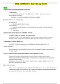 Chamberlain College of Nursing : BIOS 252 Midterm Exam Study Guide / BIOS252 Midterm Exam Study Guide(V4)(NEW, 2020) : Anatomy and Physiology II (Verified, Download to score A)