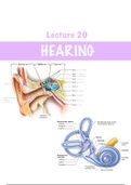 Hearing Notes