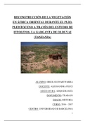 Reconstrucción de la vegetación en África Oriental durante el PlioPleistoceno a través del estudio de fitolitos: La Garganta de Olduvai (Tanzania)