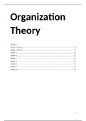 Summary Organization Theory