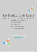 Flashcards - Aparato respiratorio