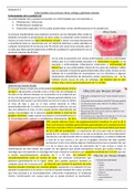 Enfermedades de la boca-Semana9