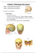 Apuntes teoría Anatomía II, Neuroanatomía
