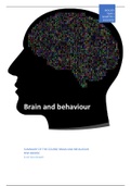 Brain and Behaviour (NWI-BB085C) Radboud University