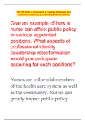 NR 708 Week 4 Discussion 2: Nursing Advocacy and Professional Identity (Leadership Role) Formation | Verified Guide 