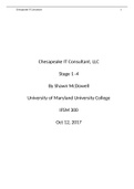 IFSM 300 Stage 1- 4 Chesapeake IT Consultant, LLC. Case Study. 