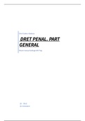 Derecho penal - parte general - resumen del manual Santiago Mir