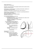 Anatomie colleges - HAN Fysiotherapie - leerjaar 2 blok 1