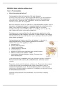 uitwerking Case 1 Brain, Behavior And Movement (BBS1004) 