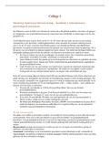 Samenvatting literatuur diagnostiek en assessment (pedagogische wetenschappen, jaar 2, 2020-2021)