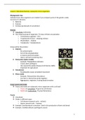 Course 6 Microbiology summary