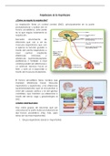 Resumen sobre regulación respiratoria - Fisiología respiratoria