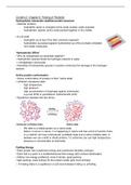 Structure Biology summary of lecture notes