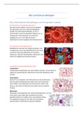 Blut und Osmose (Biologie)