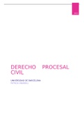 Resumen derecho procesal Civil