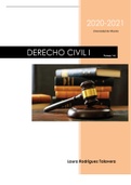 Temas 1 al 5 Derecho Civil I (primero)