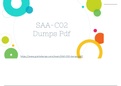 Get 100% Success With SAA-C02 Study Material {2021} Dumps Pdf - Most Valid SAA-C02 Braindumps
