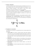 Proteínas y aminoácidos: clasificación, explicación y ejemplos - Biología 2ºBACH