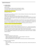 EXAMEN OSTEOMUSCULAR DE ARTICULACIONES DEL CUERPO