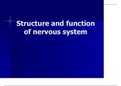 Structure and function of nervous system