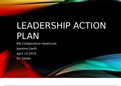 NR 447 RN Leadership Action Plan- Chamberlain