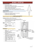 Resumen Anatomía Humana, ISBN: 9789500613682 Anatomía