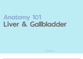 Anatomy 1: The Liver & Gall Bladder