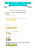ENC 1101 Urinary System Practice Questions with Answers