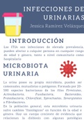 Infecciones de vias urinarias