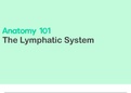 Anatomy 1: Introduction to The Lymphatic System