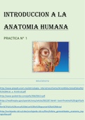 introducción a la anatomía humana