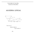 álgebra lineal