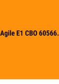Agile E1 CBO 60566 