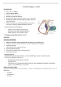 Anatopatología Respiratoria - Conceptos básicos, transmisión genética y bases bioquímicas de los trastornos