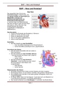 Herz,- Kreislauf, Biologie, Anatomie, Physiologie