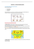 sinapsis y neurotransmisores