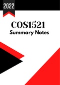 COS1521 Best Notes