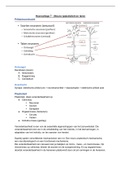 Fysiotherapie Blok C: HC 7 - (Neuro-)plasticiteit en leren
