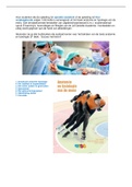 Samenvatting: Anatomie en Fysiologie(deel 1) voor operatieassistenten en verpleegkundigen