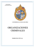 ORGANIZACIONES CRIMINALES