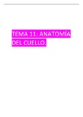 Tema 11: Anatomia del cuello
