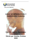 Bases de Reproducción y Embriología Humana; Medicina
