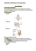 Anatomía de las articulaciones