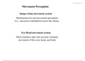 image-retina movement system