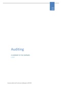 Summary of Auditing (Seminars)