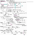 Organic Chemistry 1 (ch.9- ch.11)